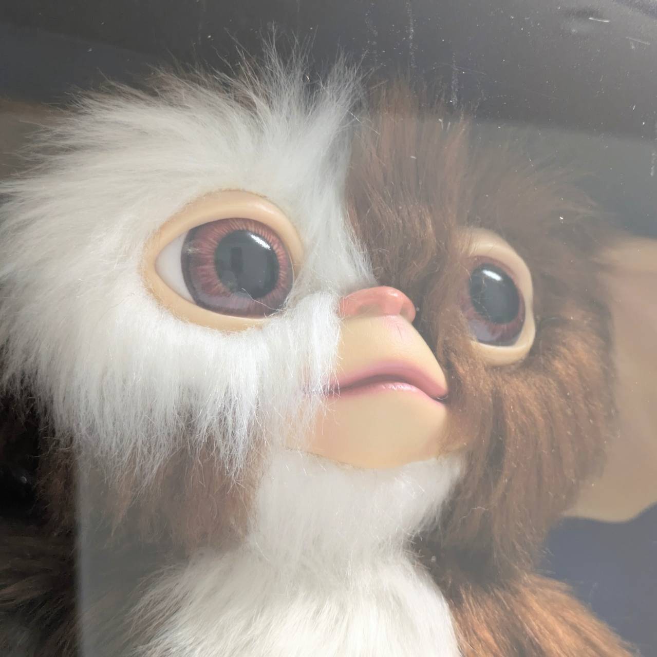 送料無料!☆4000体限定☆【 グレムリン2 新・種・誕・生 】ギズモ 1/1 プロップ・レプリカ / パペット/ Gremlins 2: The New Batch - Prop Replica - Puppet: Gizmo  〚アメリカン雑貨 アメトイ〛