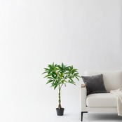 ミニパキラ90㎝［人工観葉植物・フェイクグリーンT］