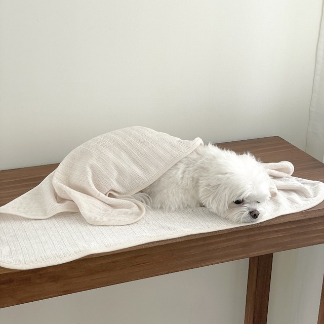 〈即納アイテム〉EYOU ブランケット / ベルベティブランケット