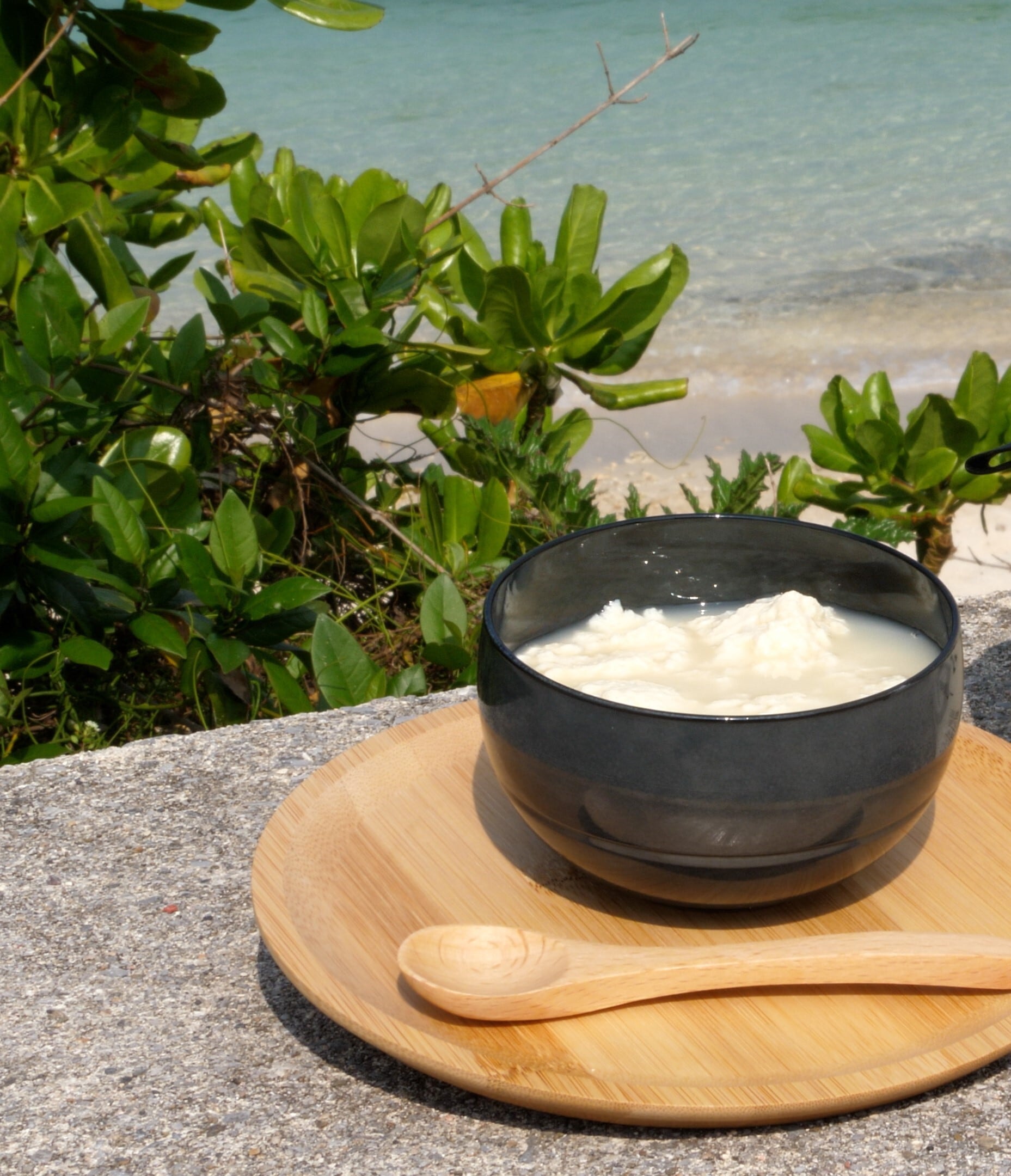 ゆしどうふ (320g) | 豆腐の取り寄せ・通販は京都 上田とうふが