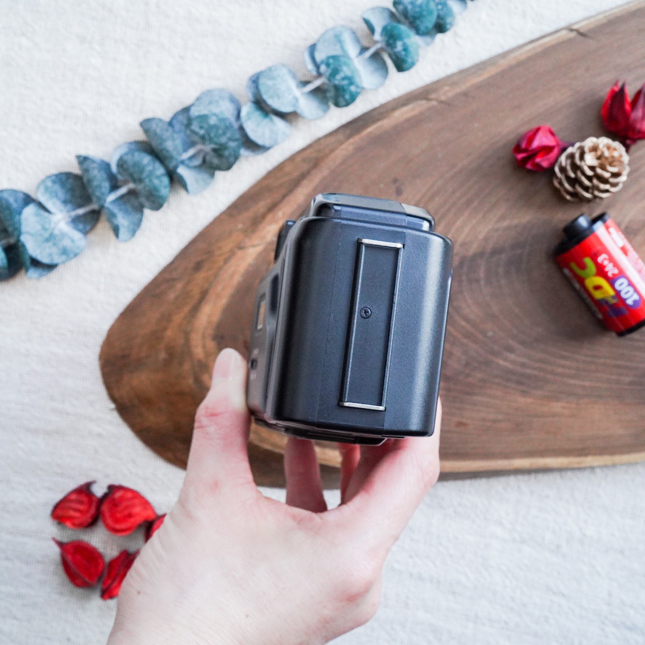 セール品【Minolta 】Mac-Dual フィルムカメラ　希少な２単焦点モード