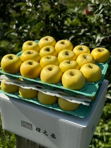 シナノゴールド家庭用　10kg