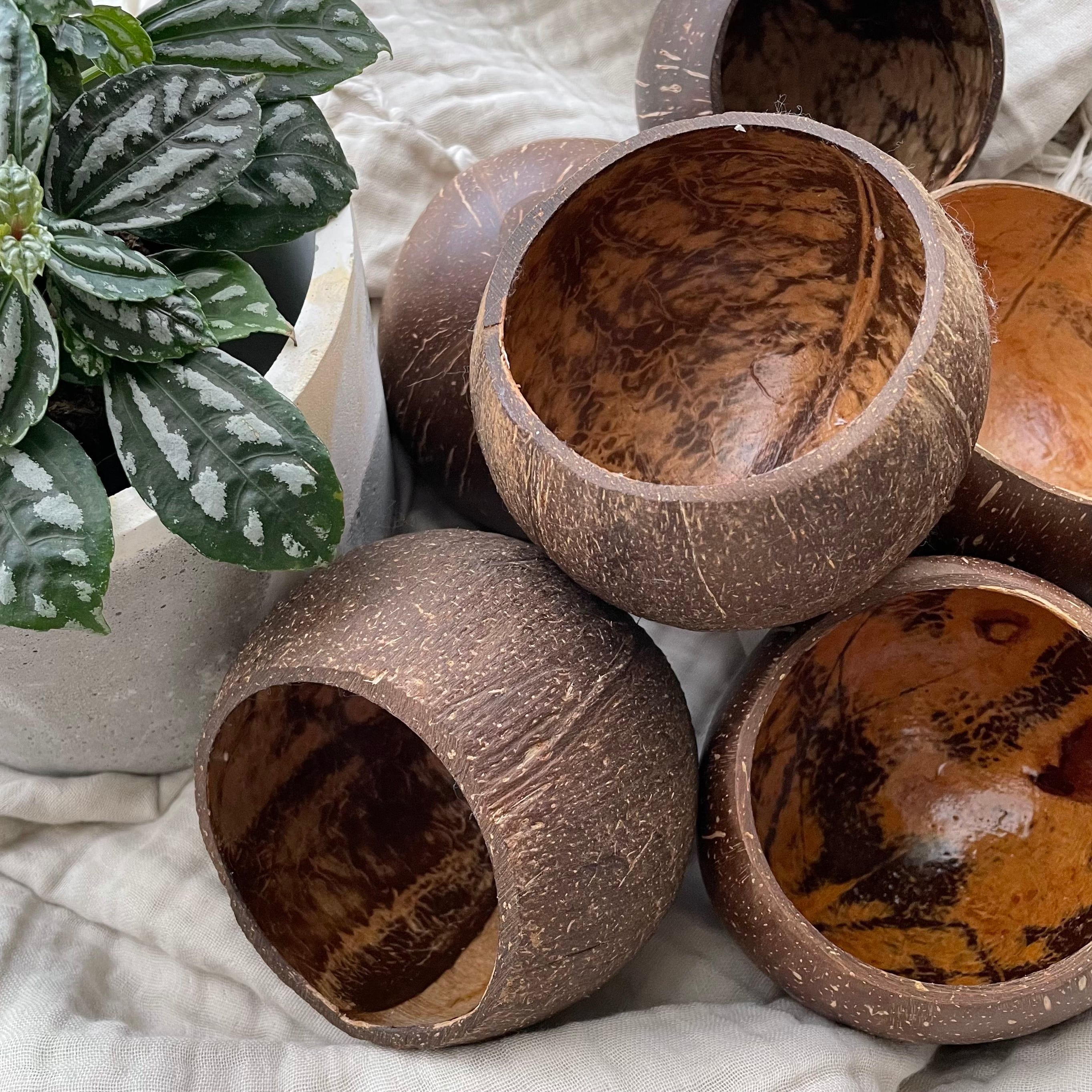 ココナッツキャンドル | -SDGsなキャンドル屋-S.Y.M.Candles