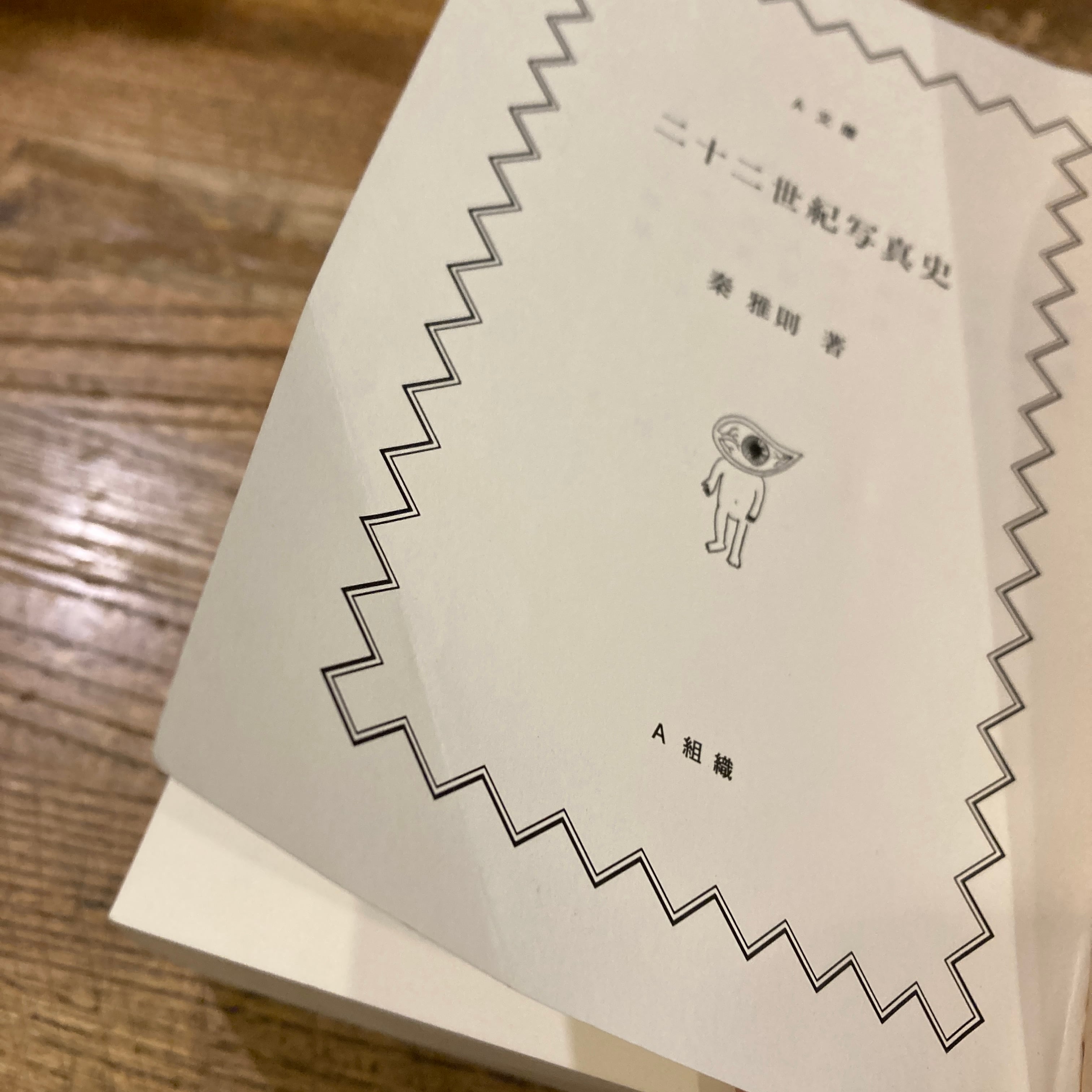 二十二世紀写真史 / 秦雅則 | 百年