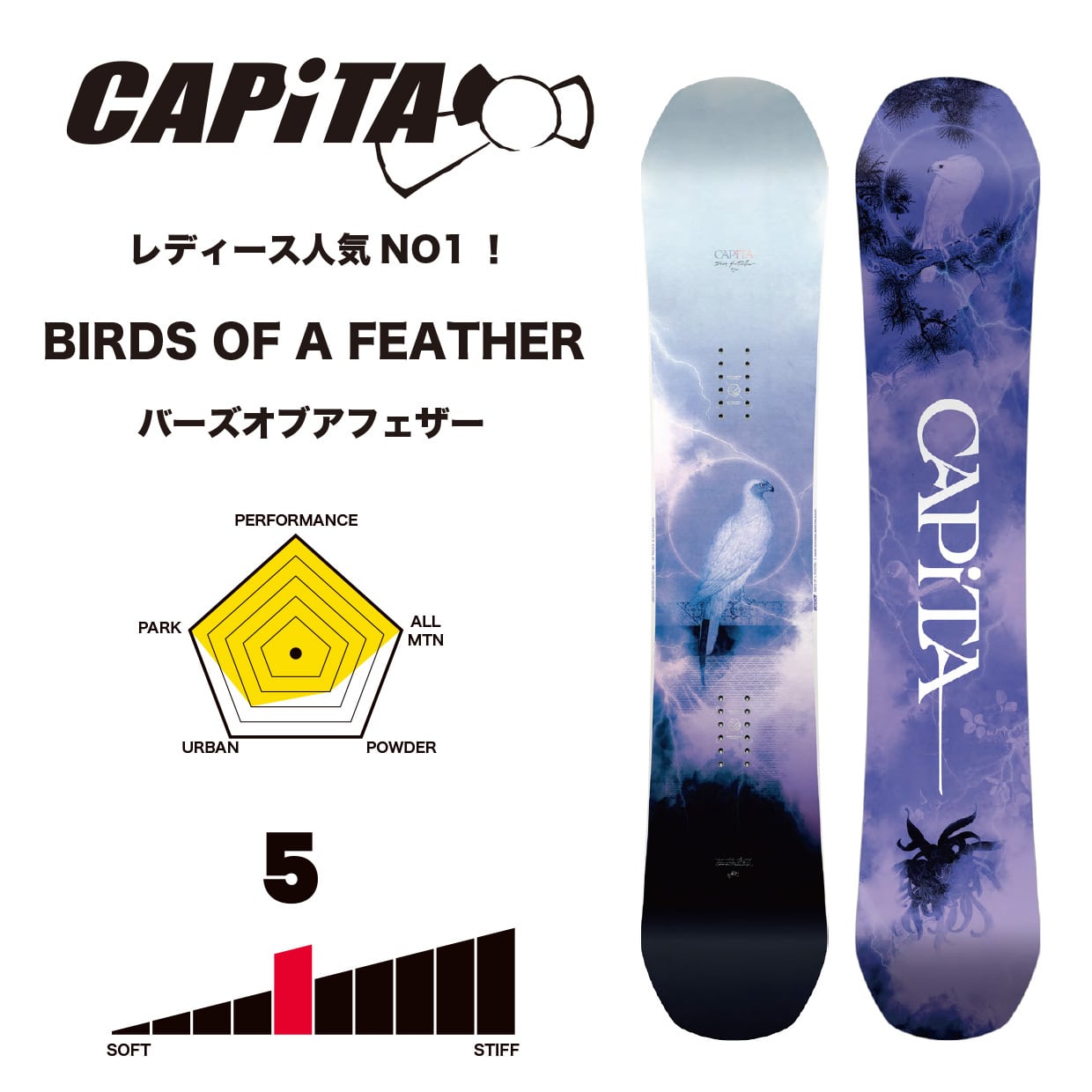 22-23 新品 CAPITA BIRDS OF A FEATHER 140cm