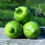 八つ葉わんぱくれもん ３kg
