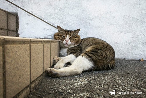 post card 092