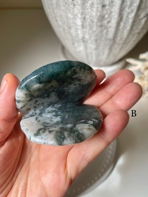 Moss Agate Shell / モスアゲート　貝