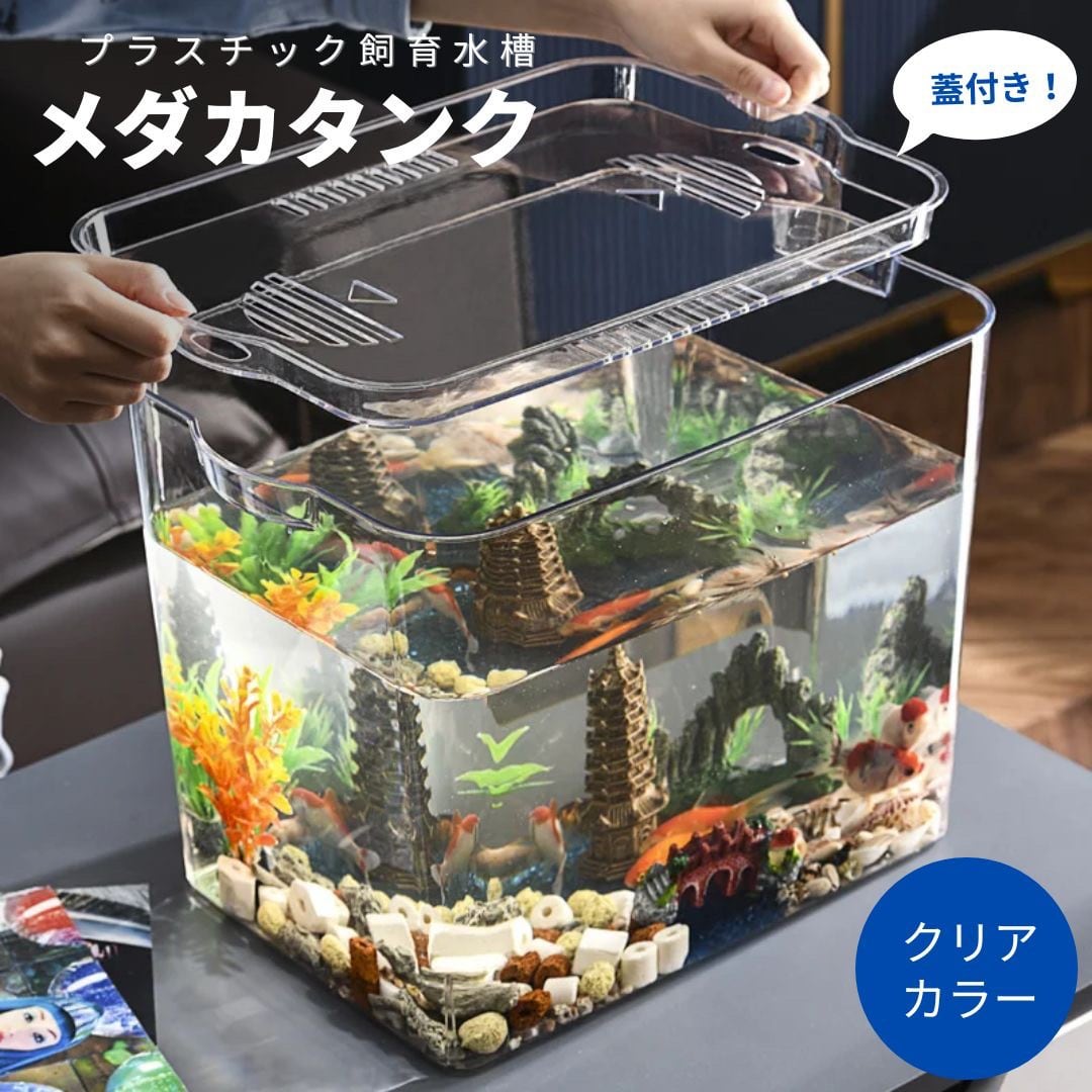 大型魚【引取限定】 【公式通販】