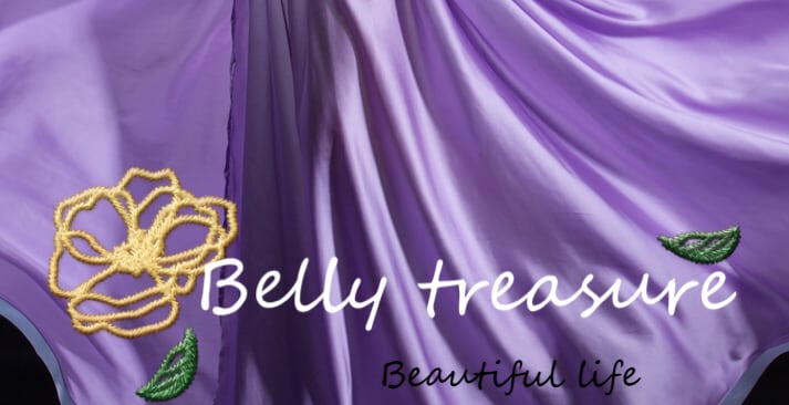 ベリーダンス オーダーメイド衣装 4色 WZY2631 | Belly Treasure®︎