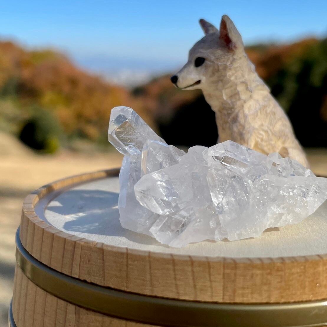 ミニ　水晶クラスター　2点 水晶 ミニクラスター | Procyon