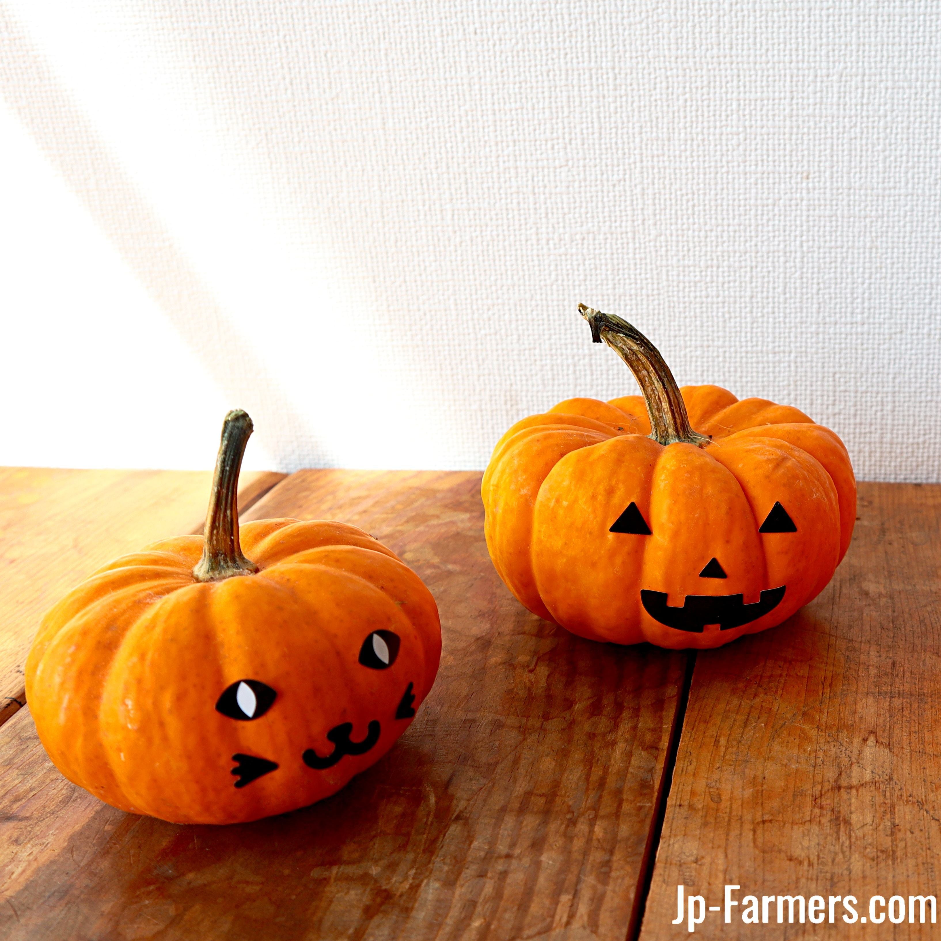 【オレンジ系のみ】ハロウィン装飾にぴったり　一番人気おもちゃカボチャ60個セット オレンジ系のみ】ハロウィン装飾にぴったり 一番人気おもちゃカボチャ