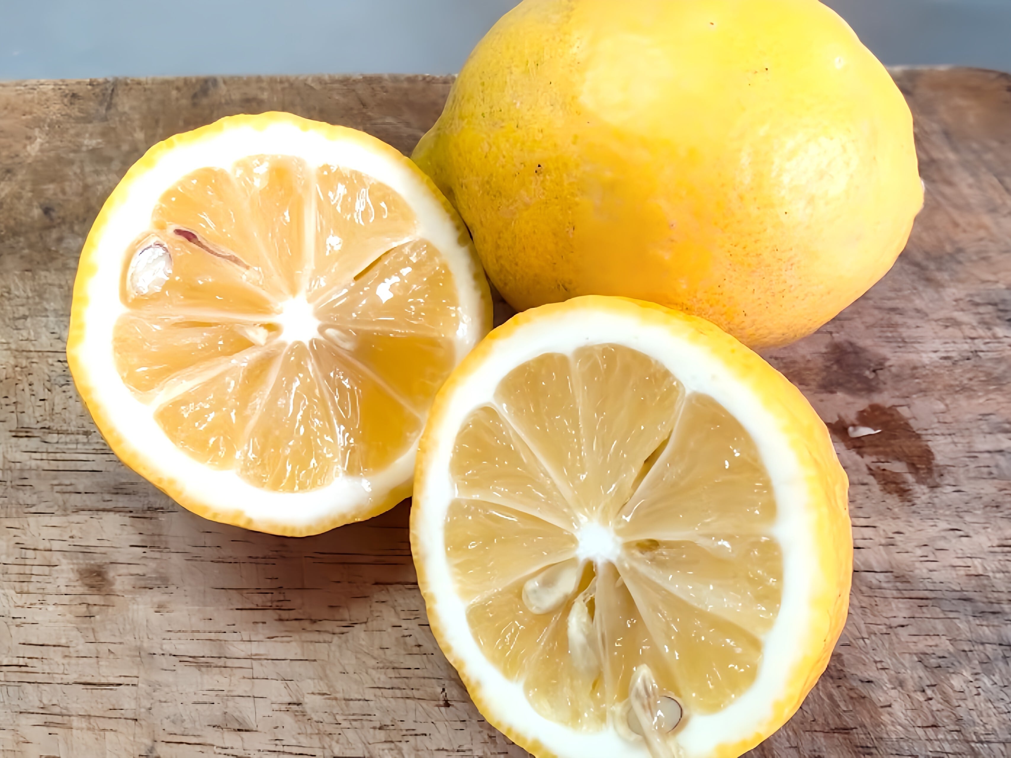 無農薬無肥料イエローレモン【ご家庭用】5kg | しまっこ農園