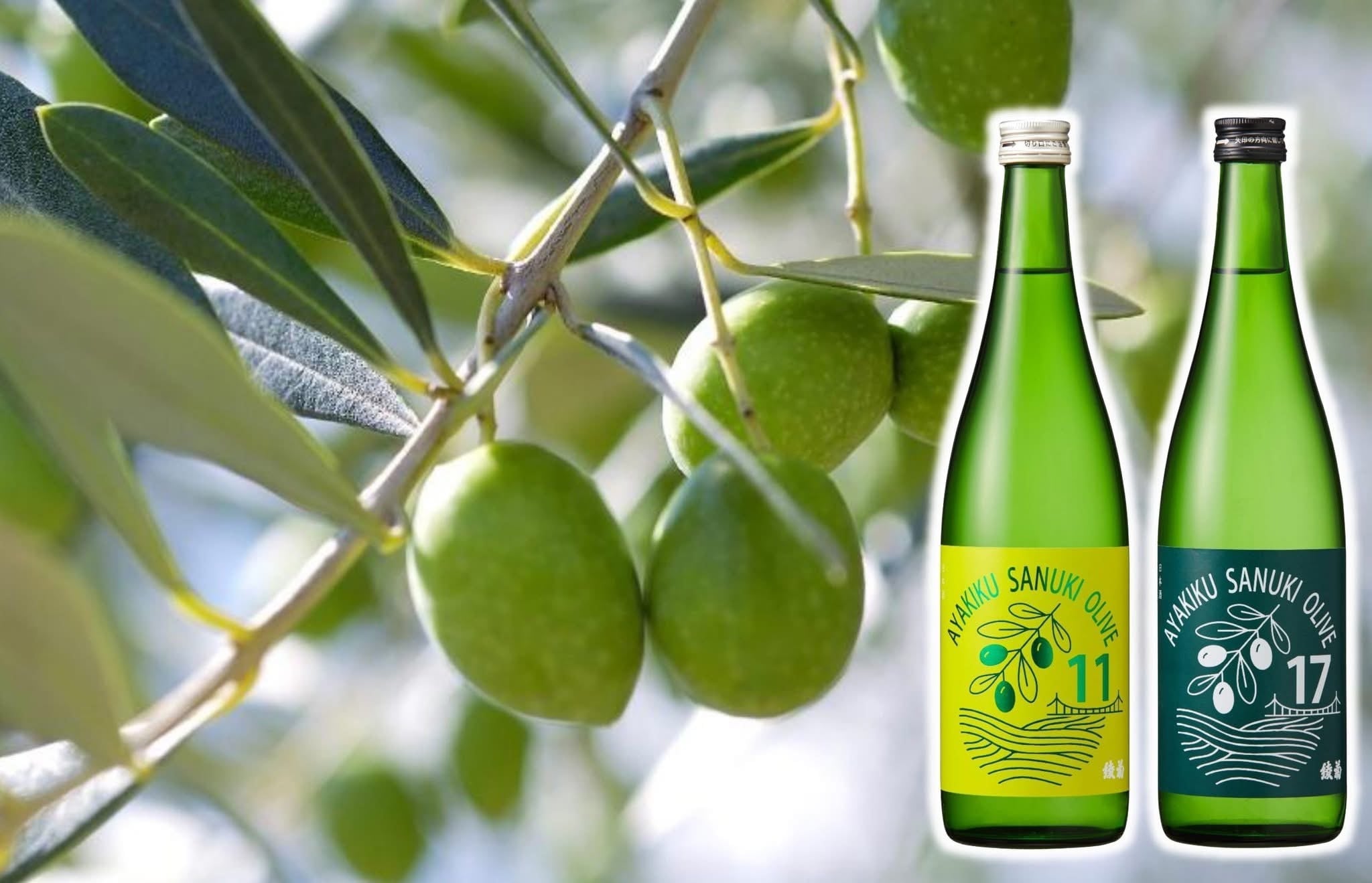 香川県【綾菊酒造】☆『綾菊 さぬきオリーブ17 純米原酒 720ml