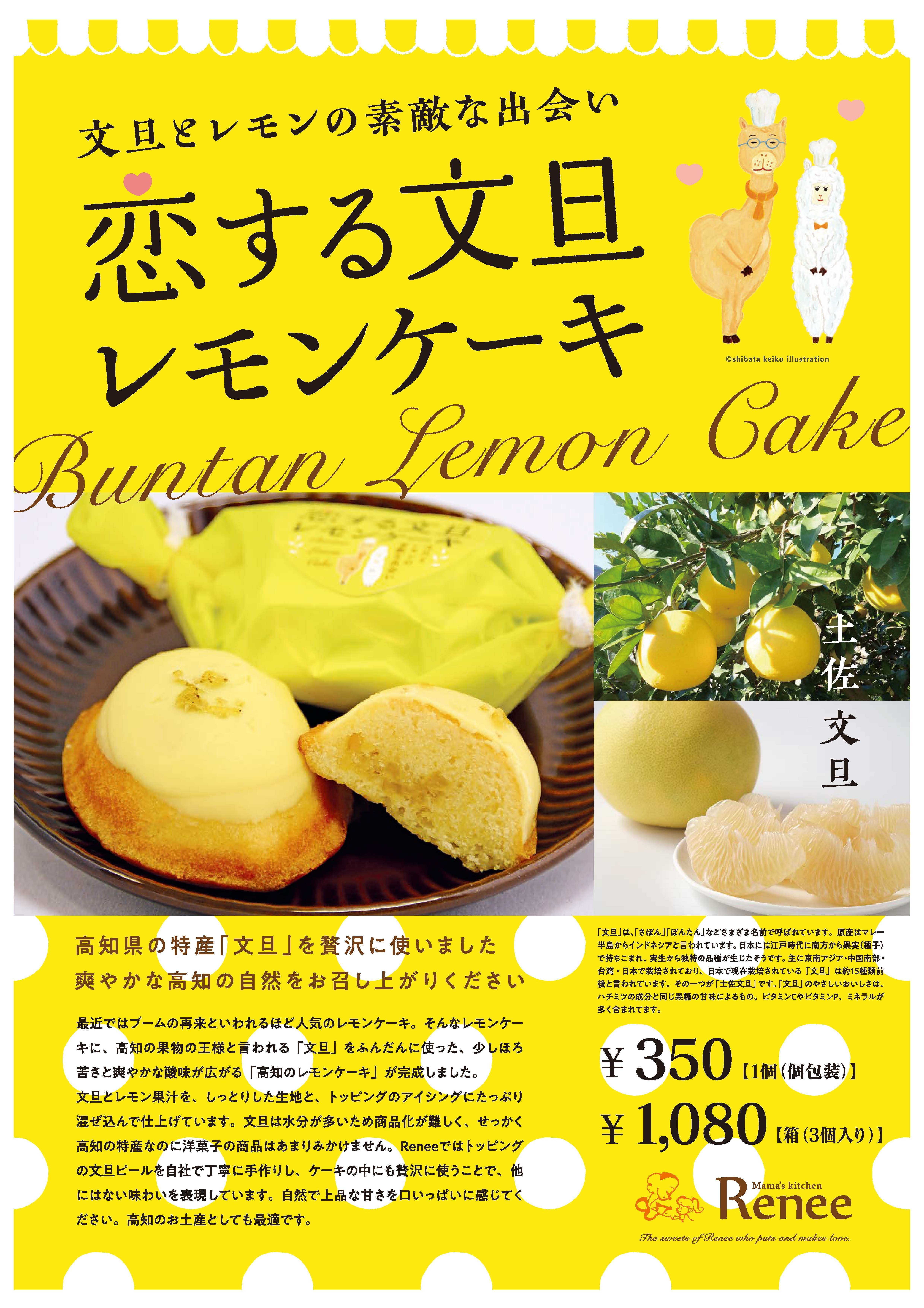 カワカミさん”が一押し～文旦とレモンの素敵な出会い～恋する文旦