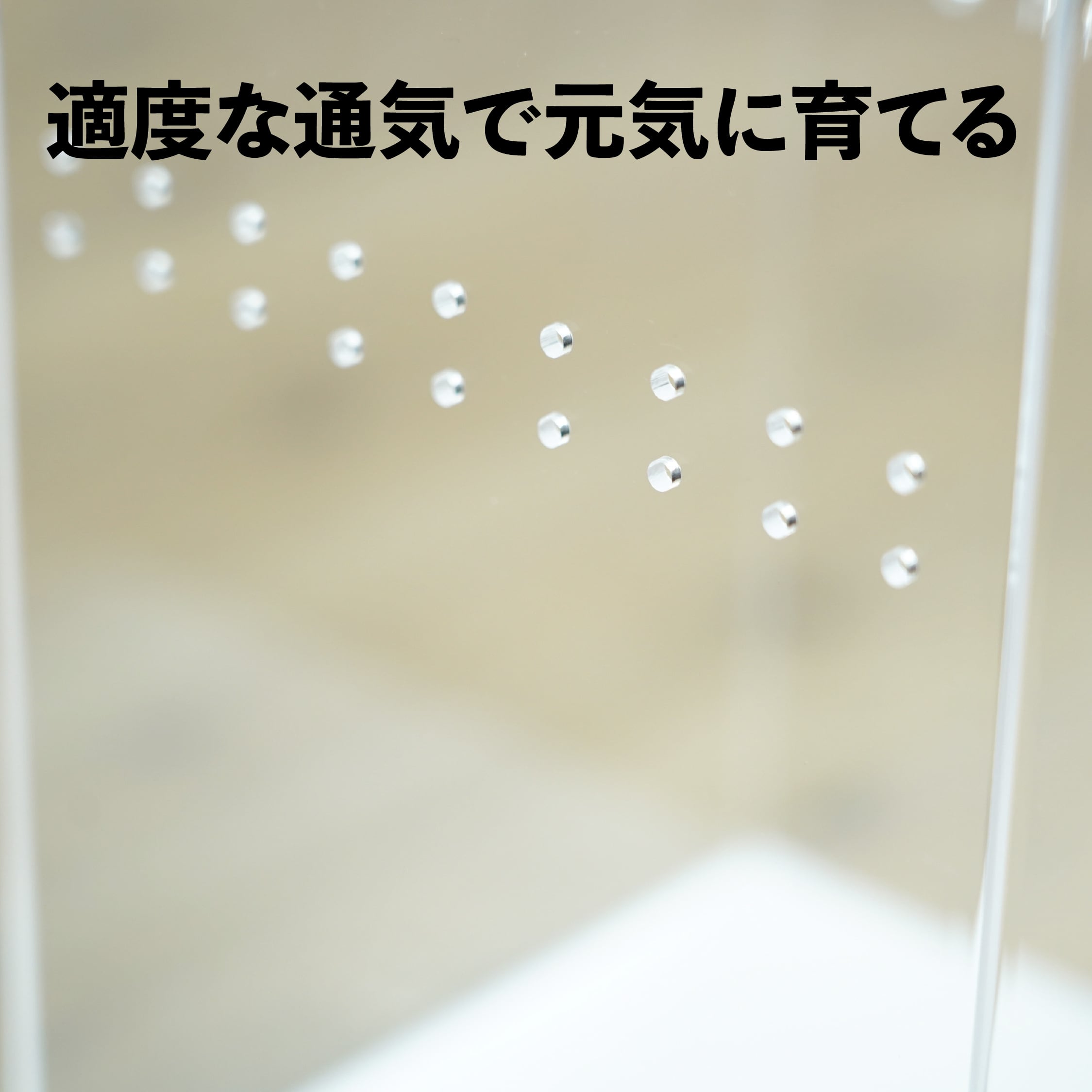 アクリル容器】レプタイルボックス ハイS（150x150xh250mm
