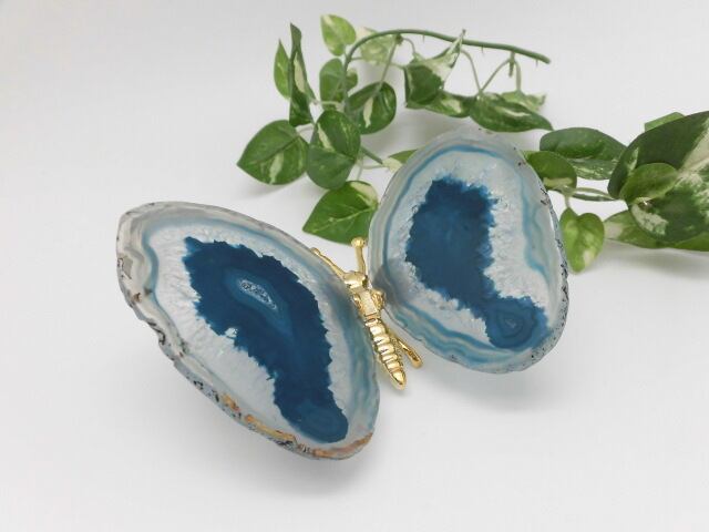 【瑪瑙】　ゴージャス蝶々　no.4