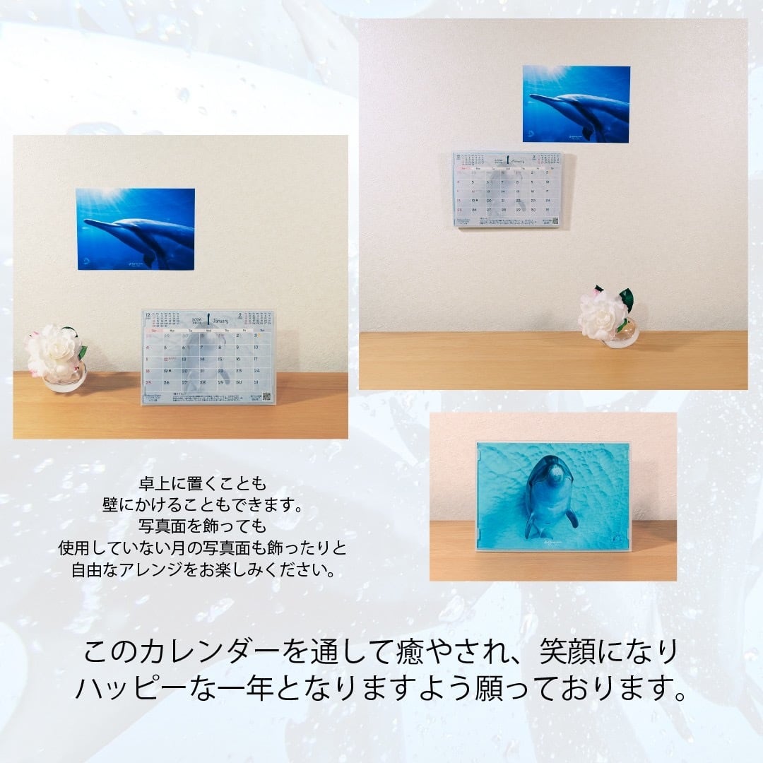 DOLPHIN EYES 2026年 カレンダー 『 Always in my Herat 』 イルカ