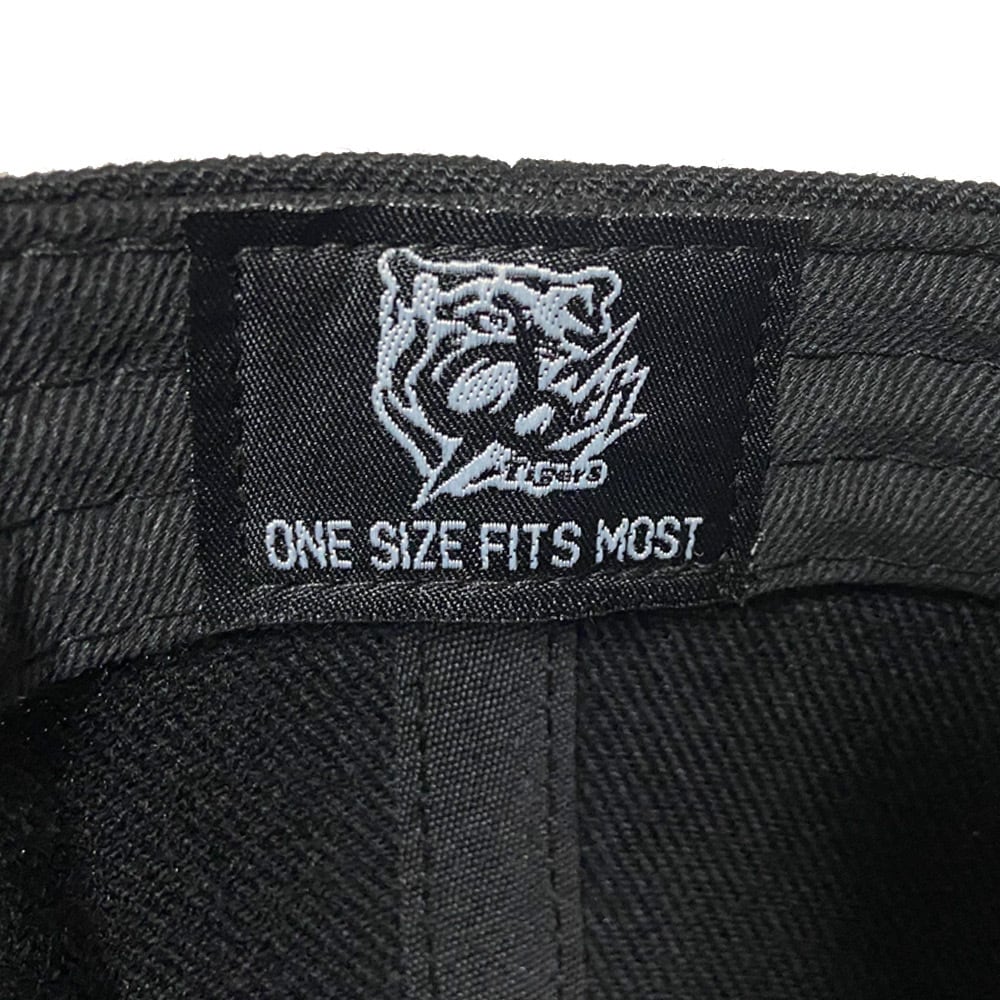 阪神タイガース球団承認 2025 リーグ優勝記念 ベースボールキャップ