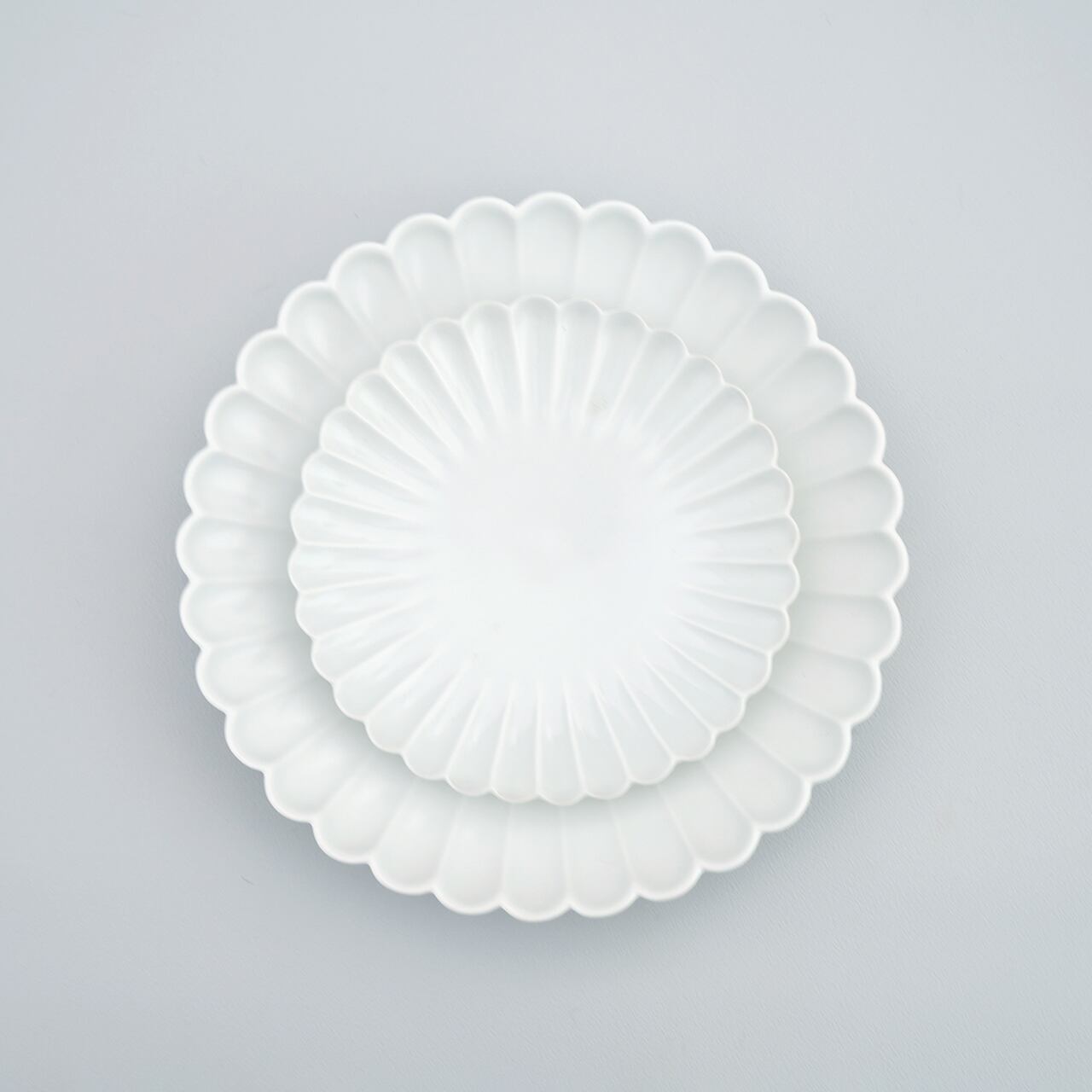 白マット菊彫り 5寸皿 (15cm) | plato 田中陶器店 │ 有田焼・伊万里焼
