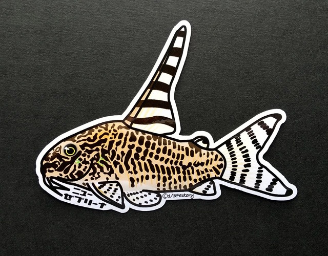 熱帯魚ステッカー コリドラス・ニューゼブリーナ