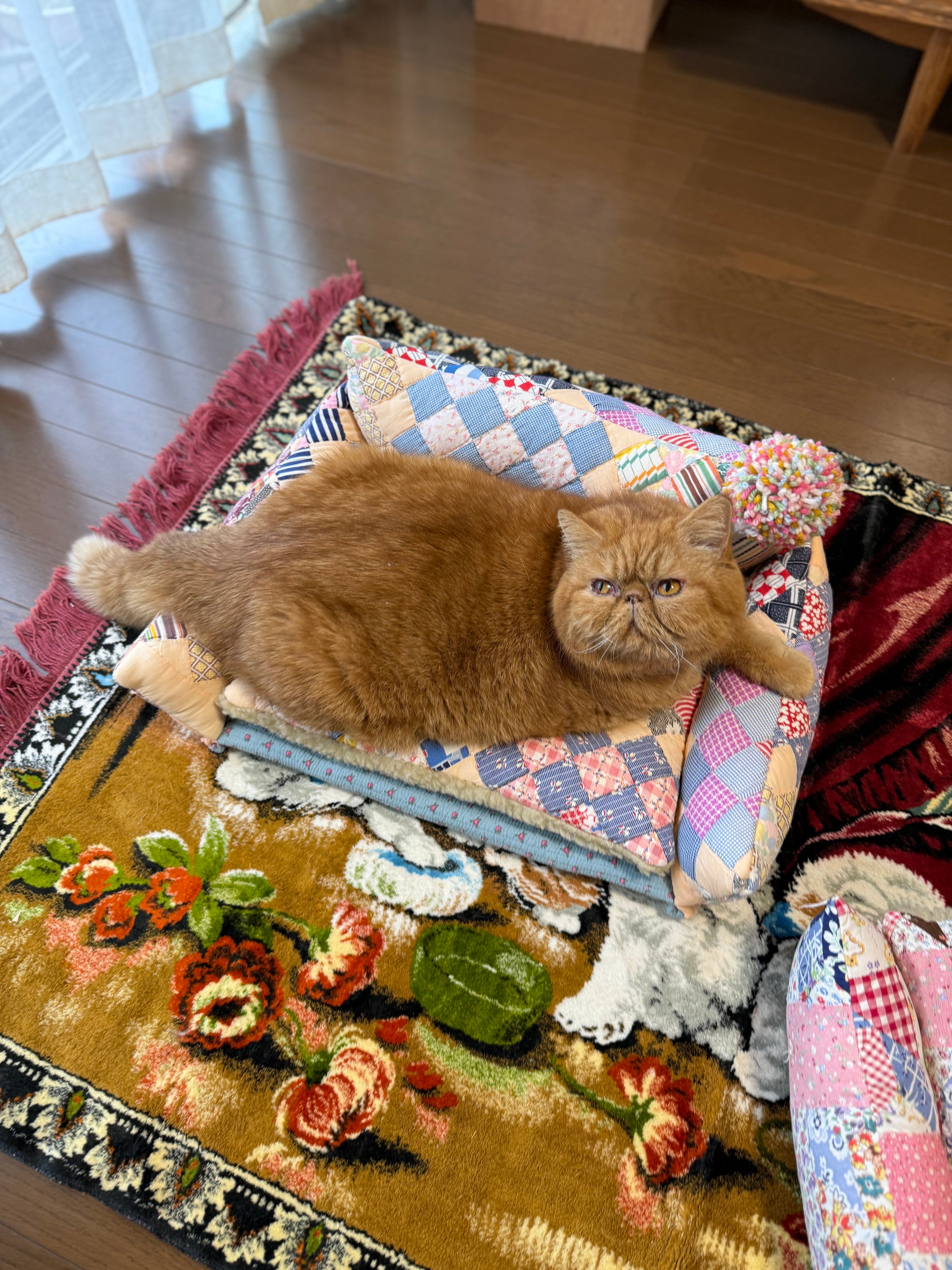 猫用ソファーキルト ピンクA | momo cats nine