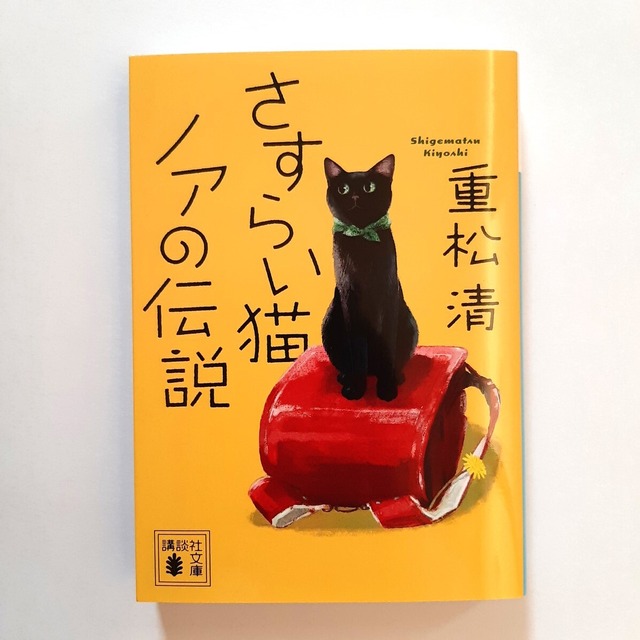 さすらい猫ノアの伝説（講談社文庫）