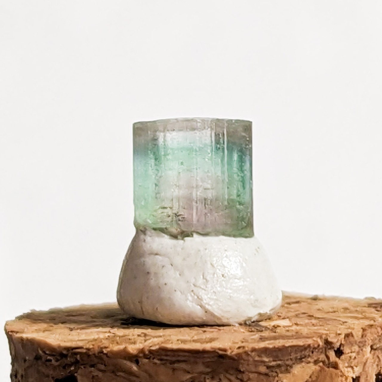 【957】バイカラートルマリン アフガニスタン産 0.50ct