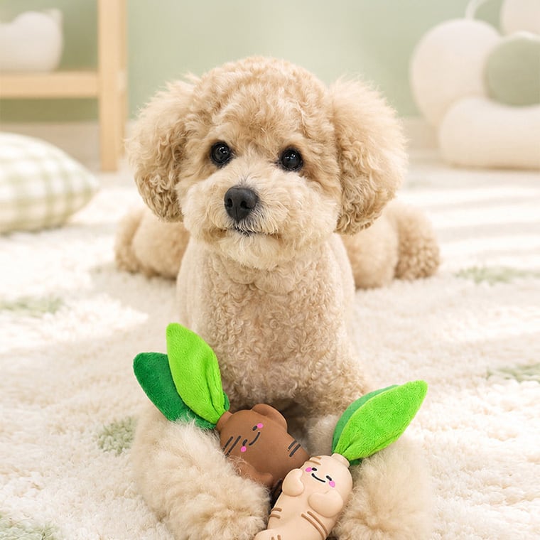 A+ginseng latex toy 2color /  ペット 犬 おもちゃ 噛む 音が鳴る 知育玩具 鳴き笛入り 可愛い わんちゃん おもちゃ ラテックス トイ ストレス解消 韓国 ペット用品