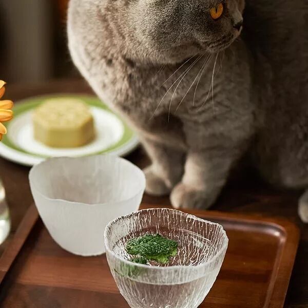 【CUP】フロスト透明グラス 焼酎グラス