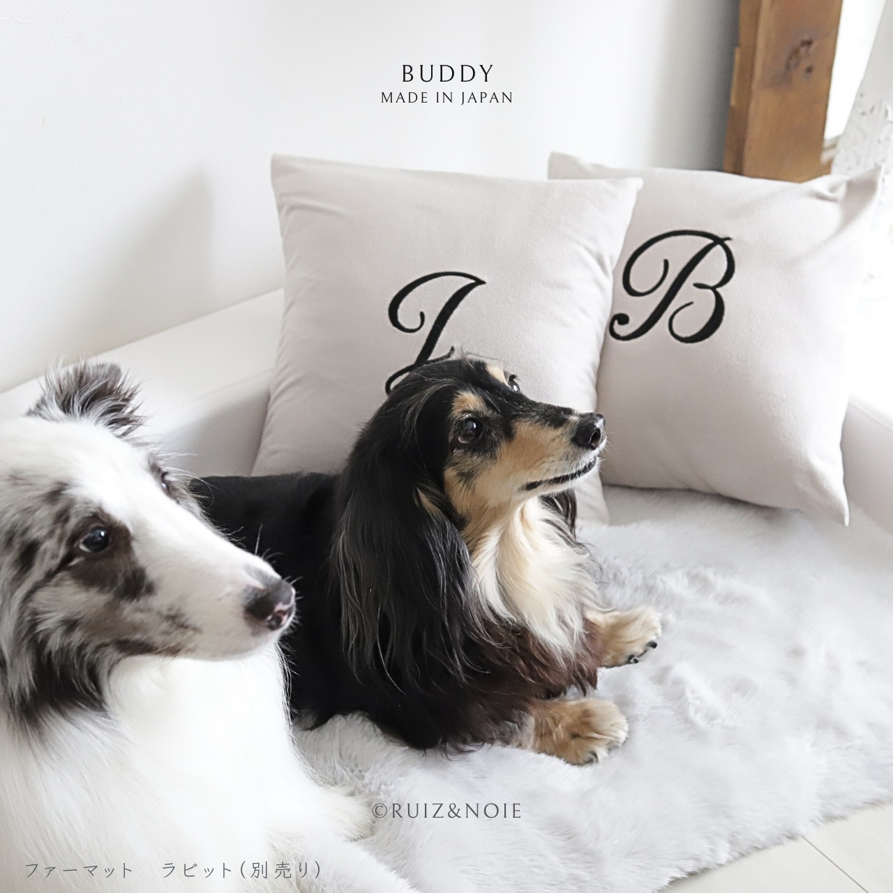BUDDY DOG&CAT BED  WHITE　