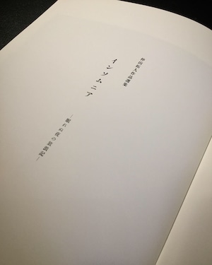 仲山拓人作品選集『インソムニア―眠れぬ夜の放浪記―』