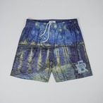 RECEPTION  Short Starry Night Over the Rhône limited edition