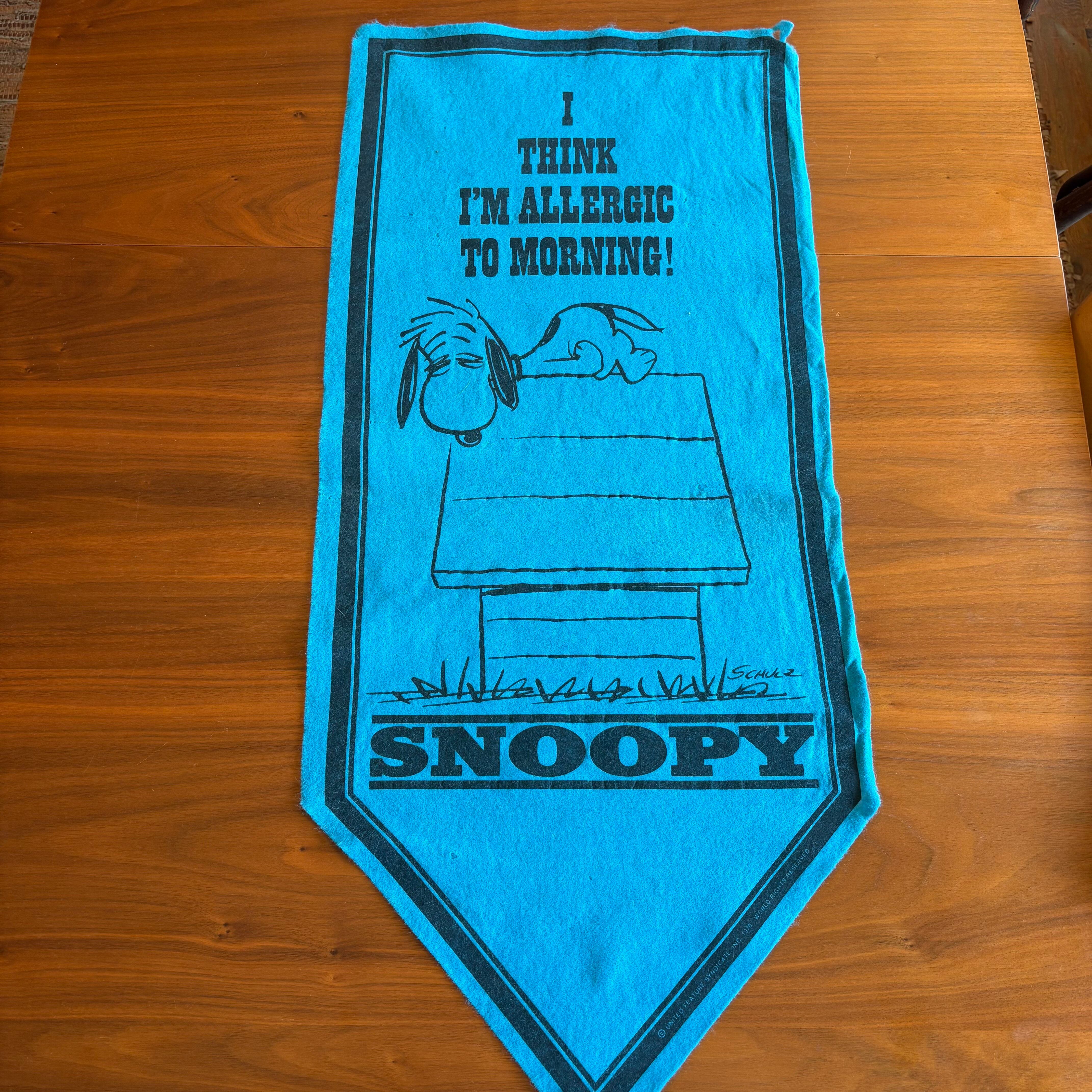 Vintage Peanuts Snoopy Felt Banner Pennant ⑥
