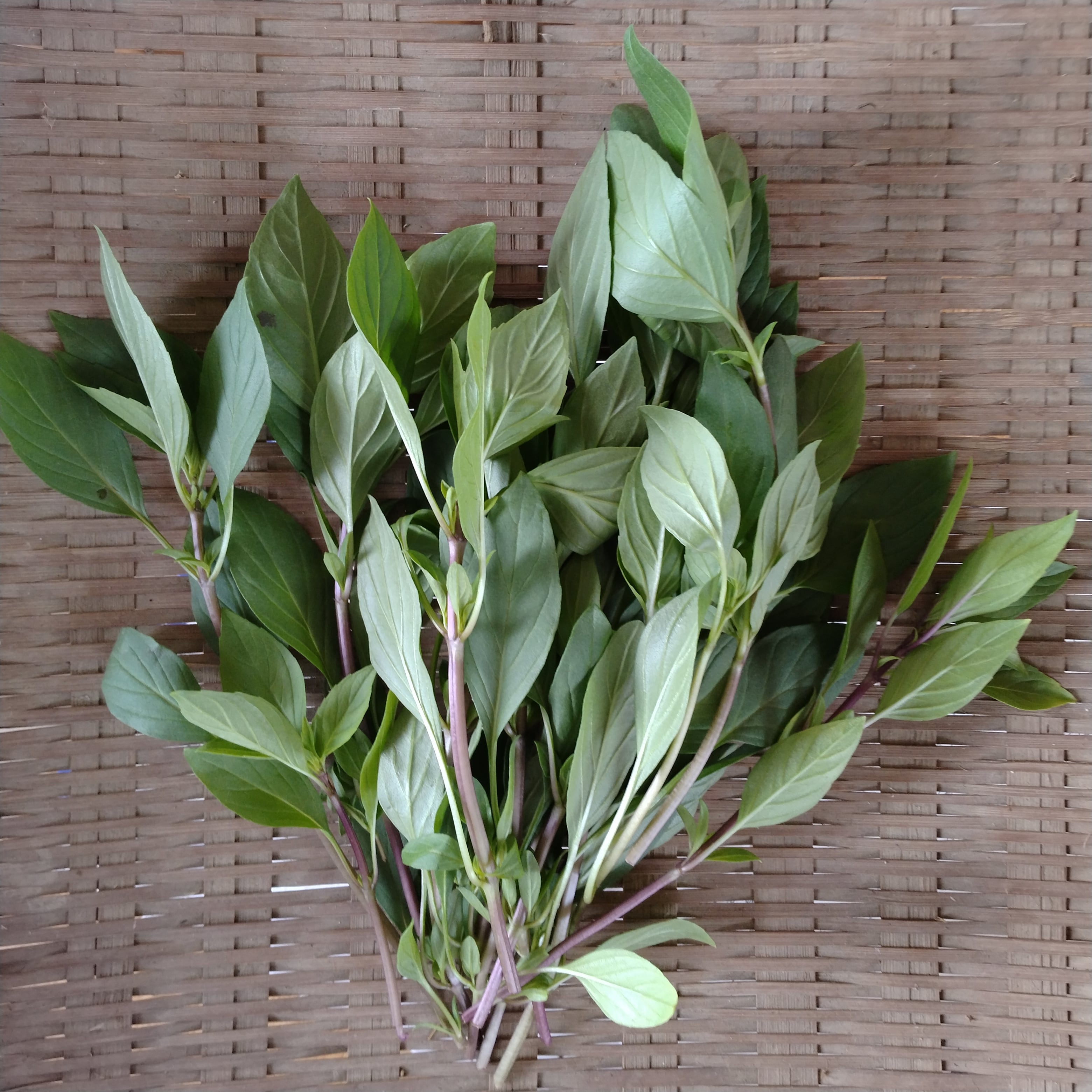 ホラパー/アジアンスイートバジル 50ℊ