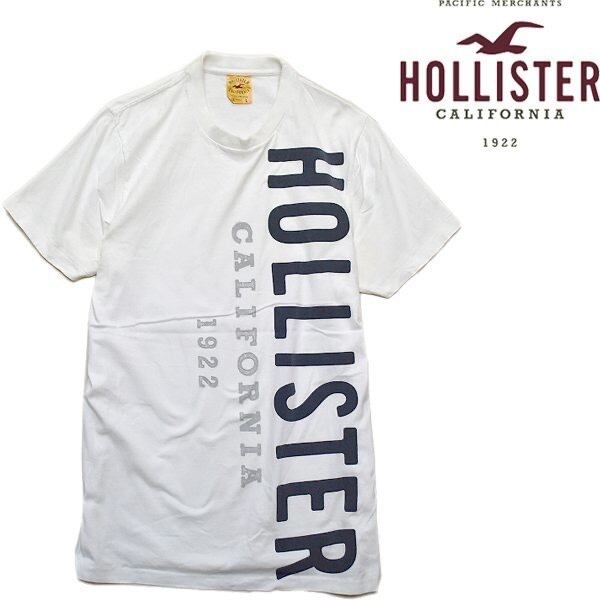 SALE‼️L★送料込★ホリスター Tシャツ HOLLISTER アバクロ