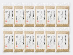 【発芽まえちゃん玄米】自然栽培コシヒカリ 420g×12袋