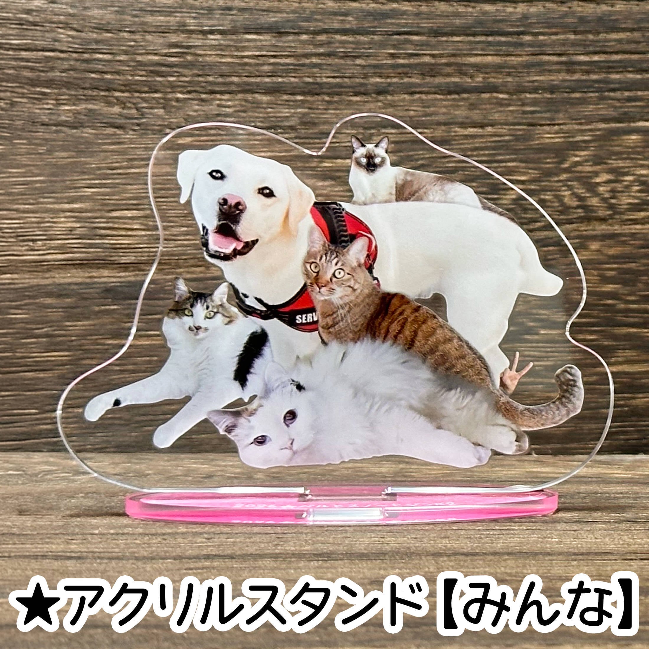 アクリルスタンドB(みんな)《数量限定》【12月上旬お届け予定（送料込