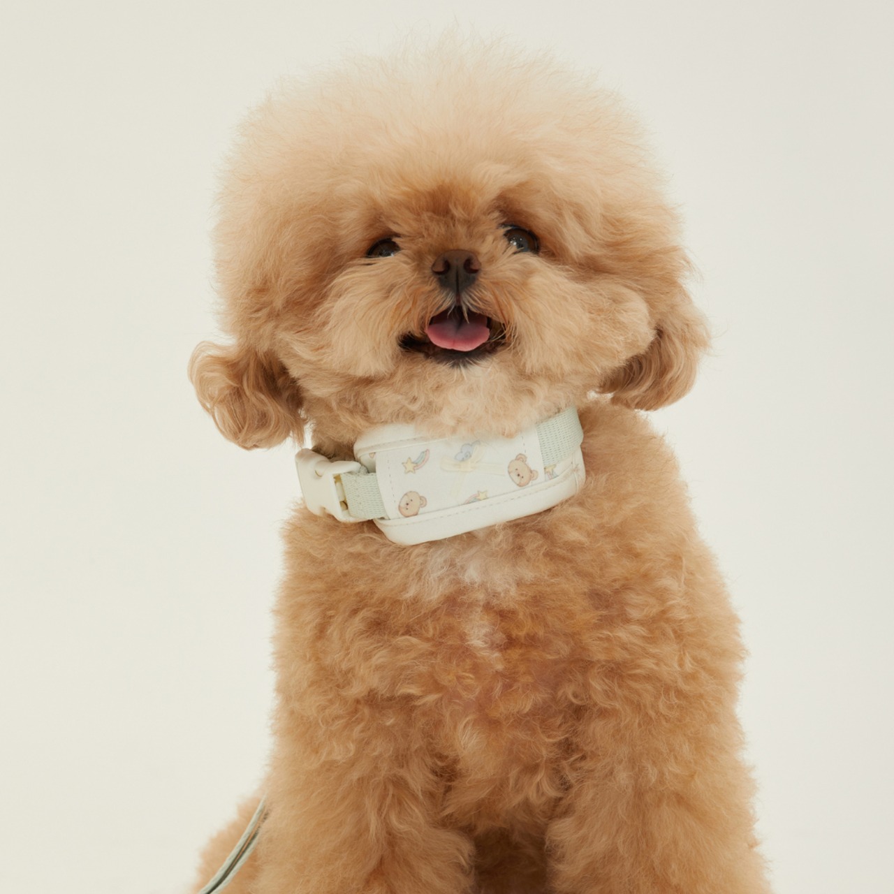 【予約】[ thesallyslaw ] Bailey cushioning collar｜Milk Pistachio - 12