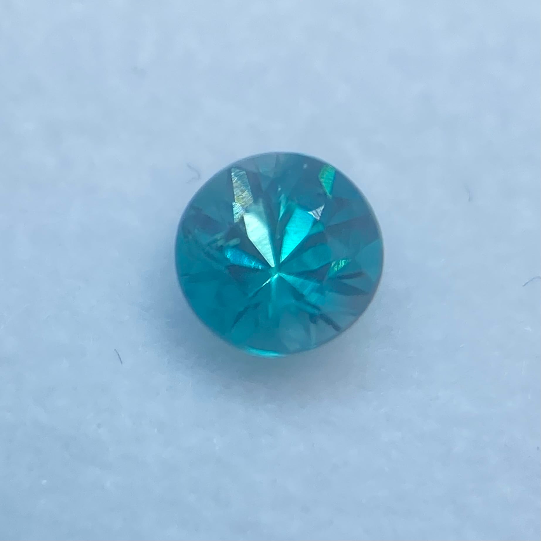 濃く鮮やかな希少カラー グランディディエライト2