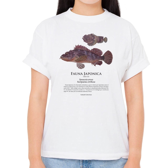【ダルマオコゼ・オニカサゴ】シーボルトコレクション魚譜Tシャツ（高解像・昇華プリント）