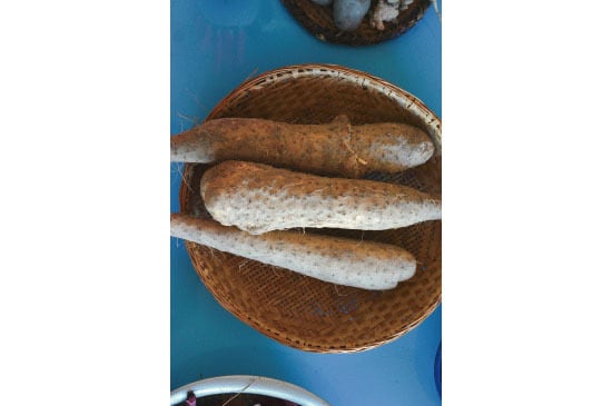 長芋(北海道産)・1kg【11月21日発送開始】