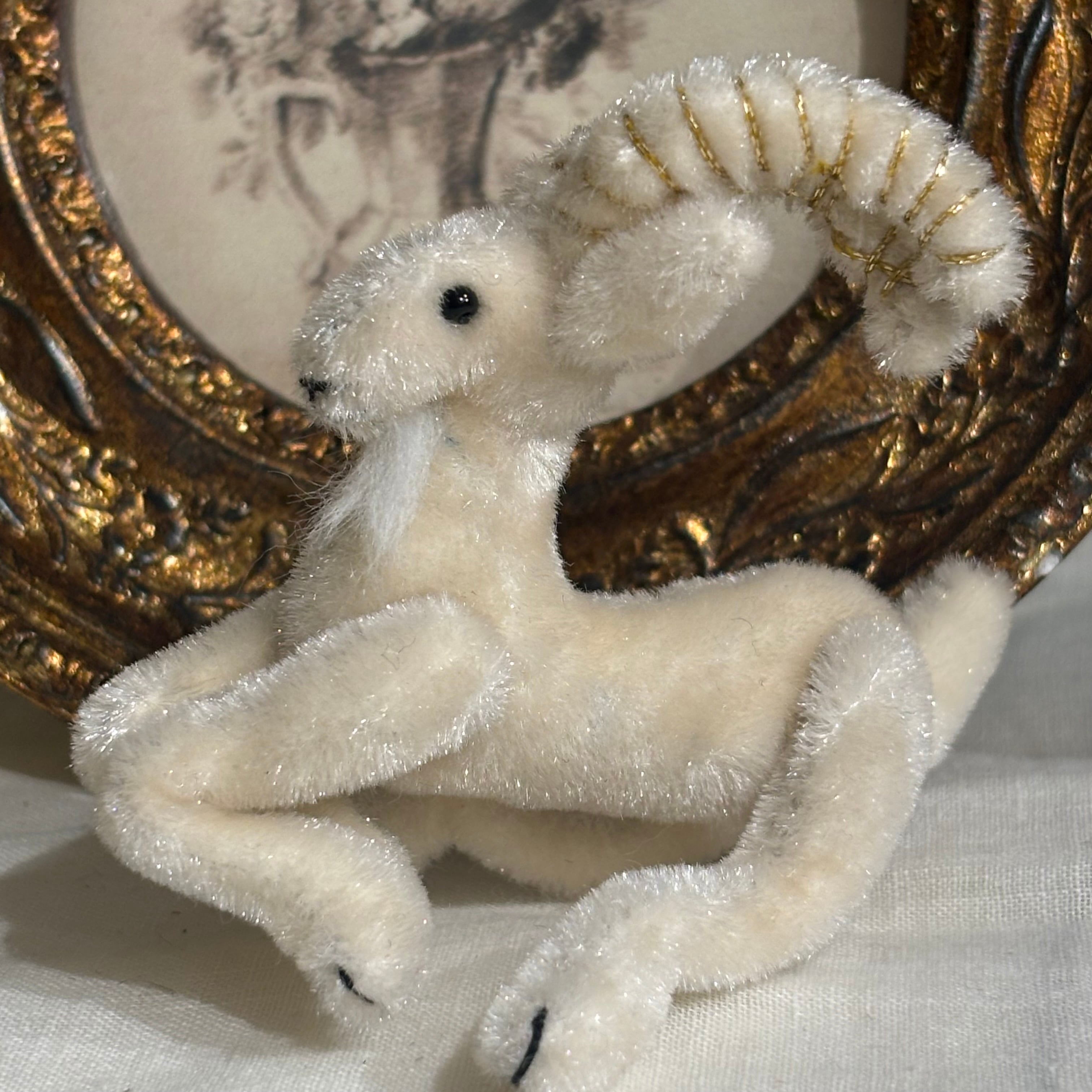 sold※ アメリカ World of miniature bears社 ミニチュアヤギ | Pay ID