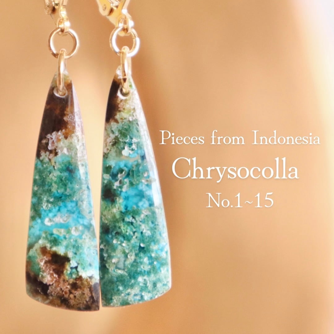 Earrings | Free Hope surf earrings サーフィン＆アウトドア用ピアス