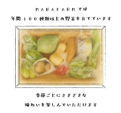 食べられるブーケ付き 冬のお野菜セット: Lサイズ | manafarm