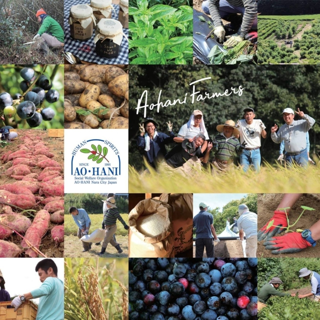 青葉仁会　１００マイルフードパウンドブルーベリー1本・画像3