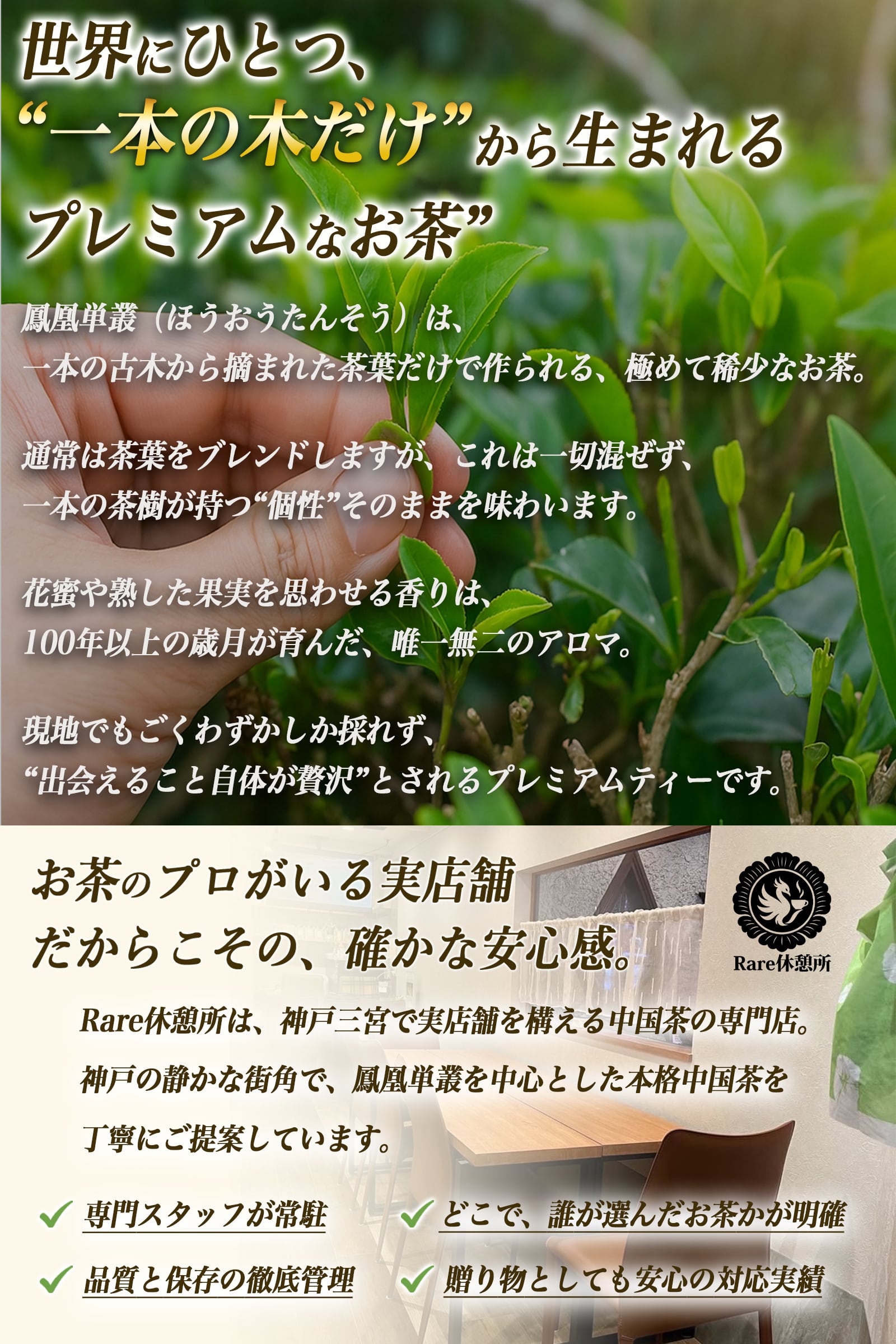まるで飲む香水 鳳凰烏龍茶 蜜蘭香（みつらんこう）10g｜中国茶 高級