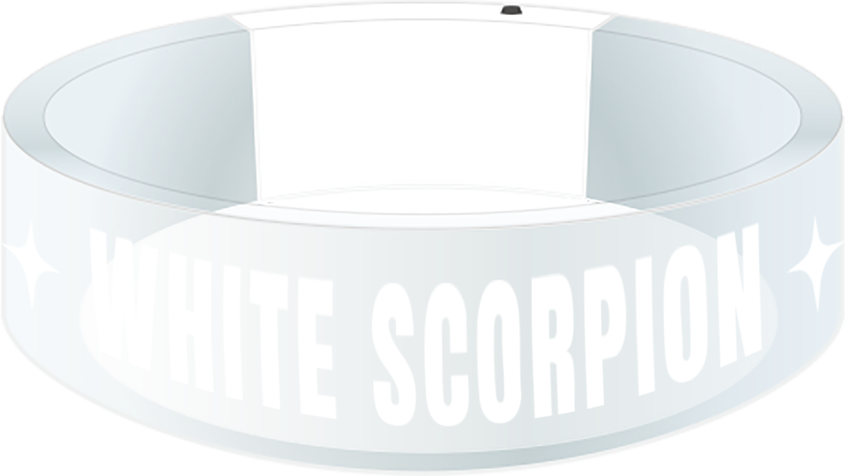 受注生産】ALLY生誕アクリルバングルライト | WHITE SCORPION OFFICIAL