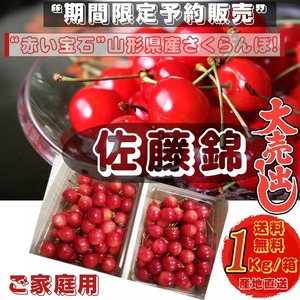 さくらんぼ 期間限定予約販売 佐藤錦 ご家庭用１Kg /箱　M〜Lサイズ混合 山形県産 送料無料