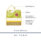 ★【淀屋橋店で受け取り】プティガトー４点セット
